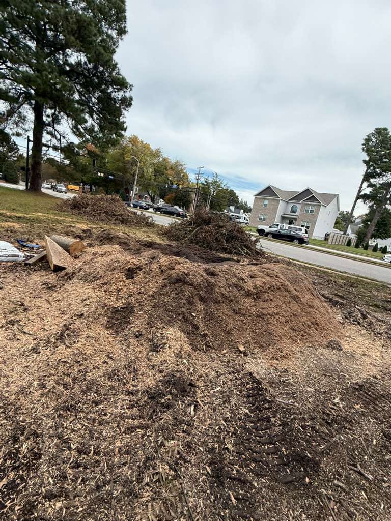 Completed landscaping project