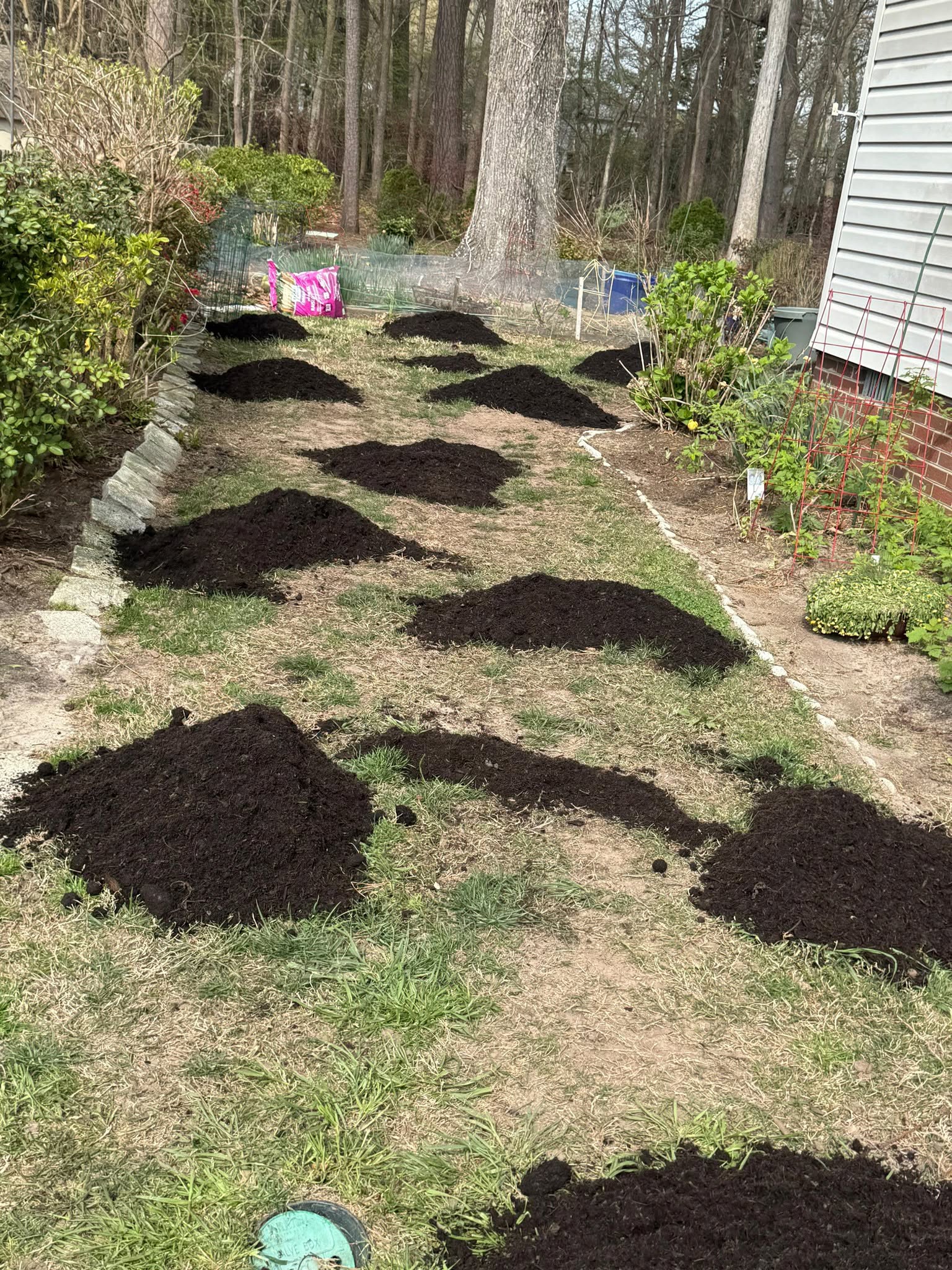 Mulch Installation