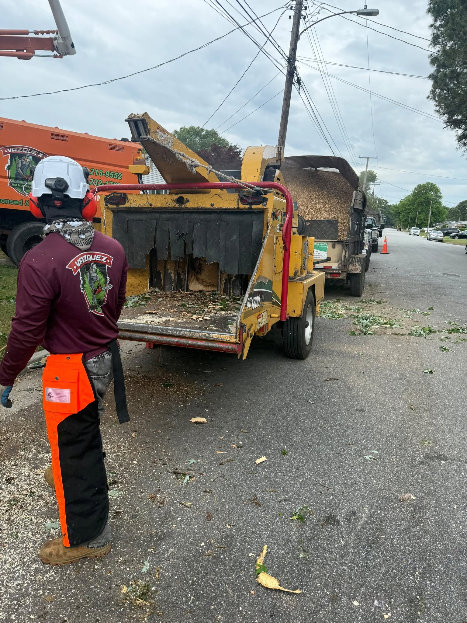 Tree and landscaping work in Newport News Virginia